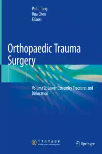 Orthopaedic Trauma Surgery Volume 2 - Lower Extremity Fractures and Dislocation - Peifu Tang
